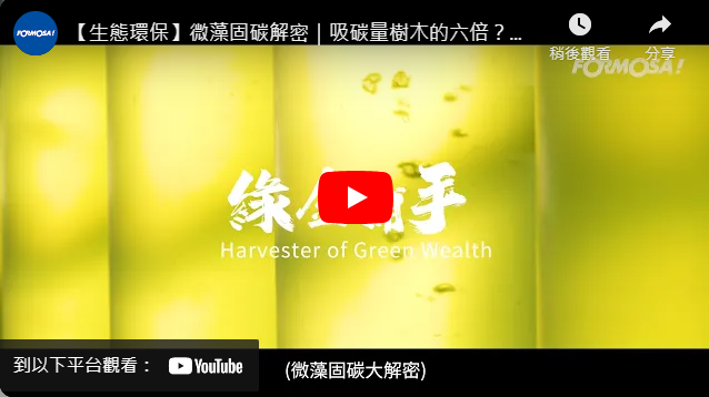 【生態環保】微藻固碳解密｜吸碳量樹木的六倍？！未來靠綠金救地球？！